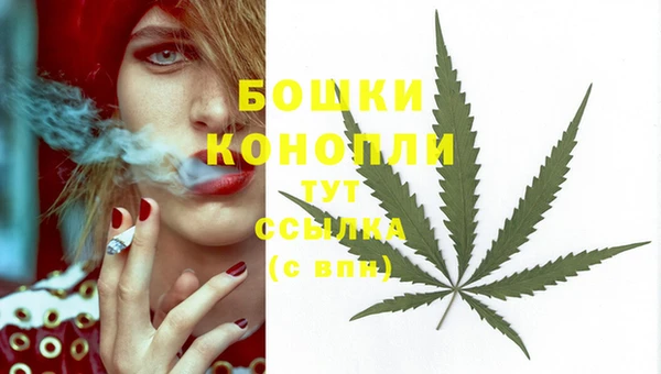 амф Белокуриха